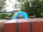 Cosplay-Cover: miku matryoshka # 5