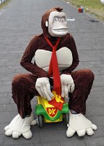 Cosplay-Cover: Donkey Kong ( Mario Kart)