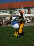 Foto des Kostüms