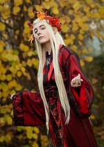 Cosplay-Cover: Thranduil (Bookversion)