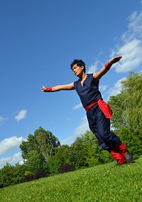 Cosplay-Cover: Son-GoHan