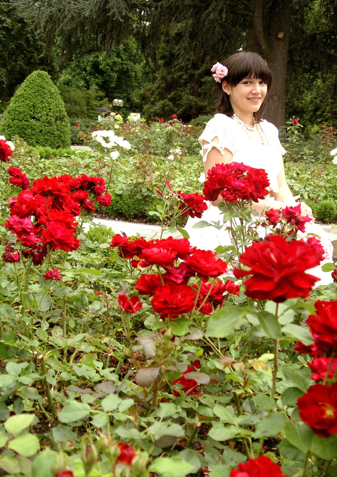 Cosplay-Cover: Rose