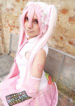 Cosplay-Cover: Hatsune Miku - Sakura Version