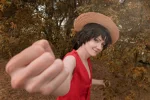 Cosplay-Cover: Luffy