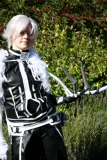 Top-3-Foto - von -Leaf-