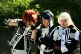 Top-3-Foto - von -Leaf-