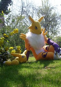 Cosplay-Cover: Renamon