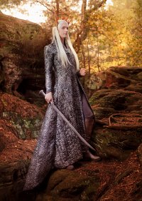 Cosplay-Cover: Thranduil