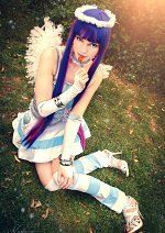 Cosplay-Cover: Stocking Anarchy » Angel