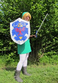 Cosplay-Cover: Link