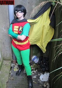 Cosplay-Cover: Robin / Dick Grayson (BtAS)