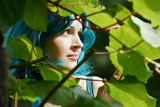 Top-3-Foto - von LOKInst