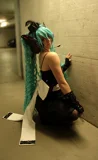 Top-3-Foto - von Yuan-chan