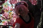 Cosplay-Cover: Sakura-Streetstyle ~さくらストリートスタイル~