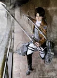 Top-3-Foto - von Sachiko
