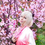 Top-3-Foto - von Sachiko
