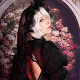 Top-3-Foto - von Sachiko