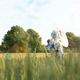 Top-3-Foto - von Sachiko