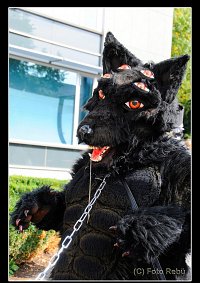 Cosplay-Cover: Alucard - Hellhound (Furry)