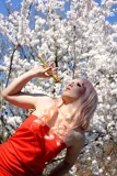 Top-3-Foto - von titanbrat