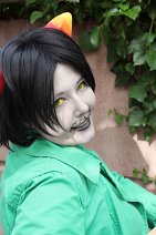 Cosplay-Cover: Nepeta Leijon