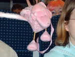 Foto des Kostüms
