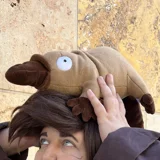 Top-3-Foto - von DarkShippo