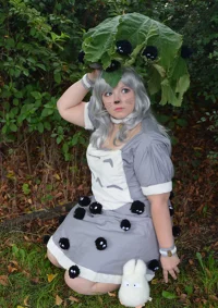Cosplay-Cover: Totoro
