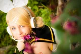 Top-3-Foto - von S-akura