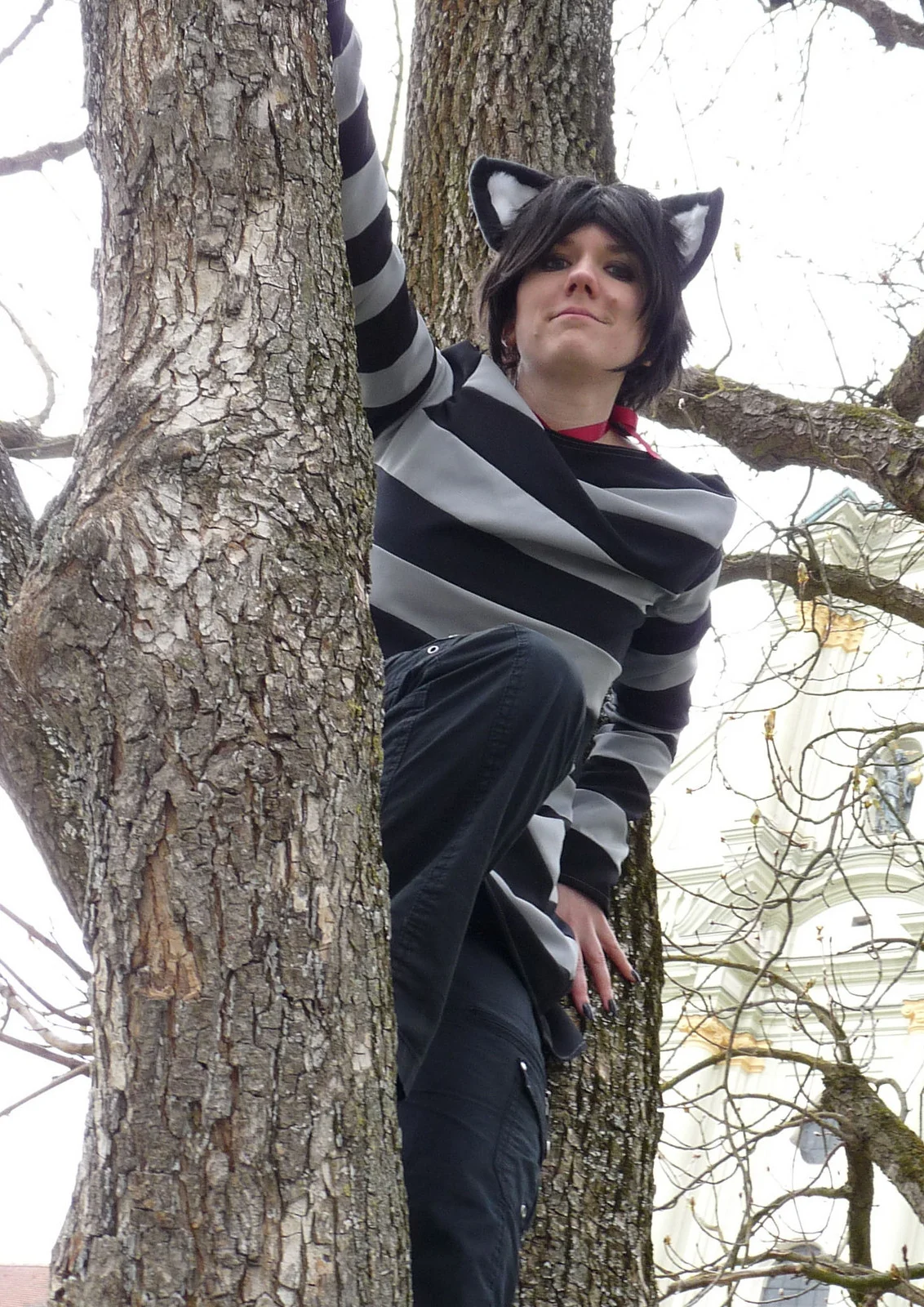 Cosplay-Cover: Grinsekatze