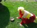 Foto des Kostüms