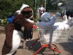 Foto des Kostüms