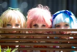 Top-3-Foto - von Fotograf-13