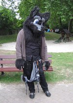 Cosplay-Cover: Wolf