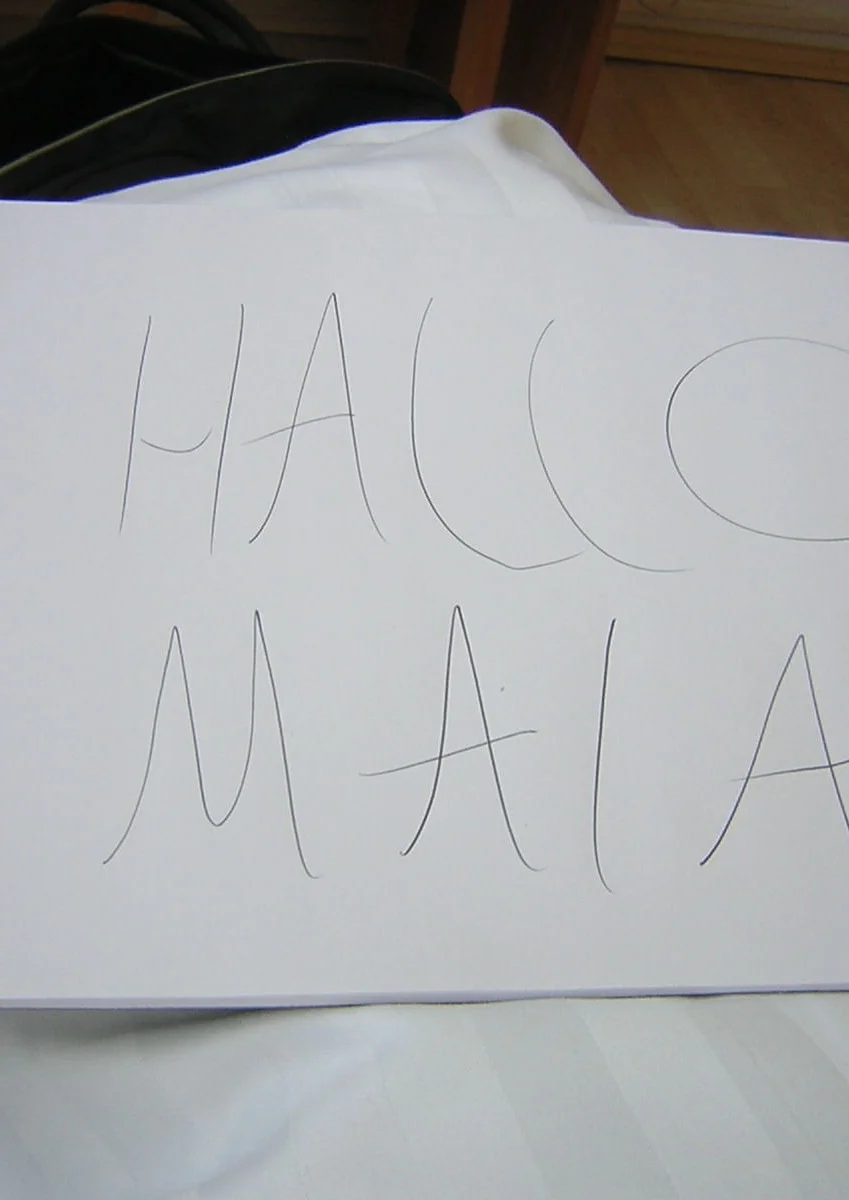 Cosplay-Cover: Schild