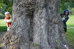 Foto des Kostüms