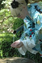 Cosplay-Cover: IKEA-Kimono