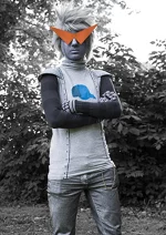 Cosplay-Cover: Brobot