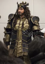 Cosplay-Cover: King Thorin Eichenschild (Die Schlacht der 5 Heere