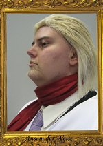 Cosplay-Cover: Ansem der Weise