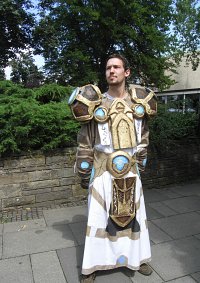 Cosplay-Cover: Paladin T8
