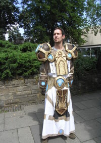 Cosplay-Cover: Paladin T8