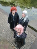 Top-3-Foto - von Reign