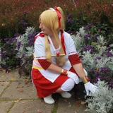Top-3-Foto - von Chisa
