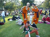 Top-3-Foto - von LoneLightWolf