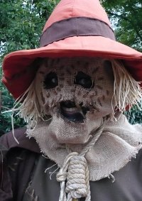 Cosplay-Cover: Scarecrow