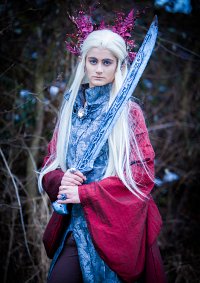 Cosplay-Cover: Thranduil