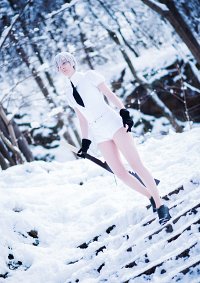 Cosplay-Cover: Antarcticite
