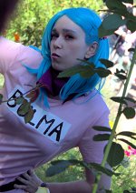 Cosplay-Cover: Bulma Briefs