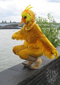 Cosplay-Cover: Chocobo